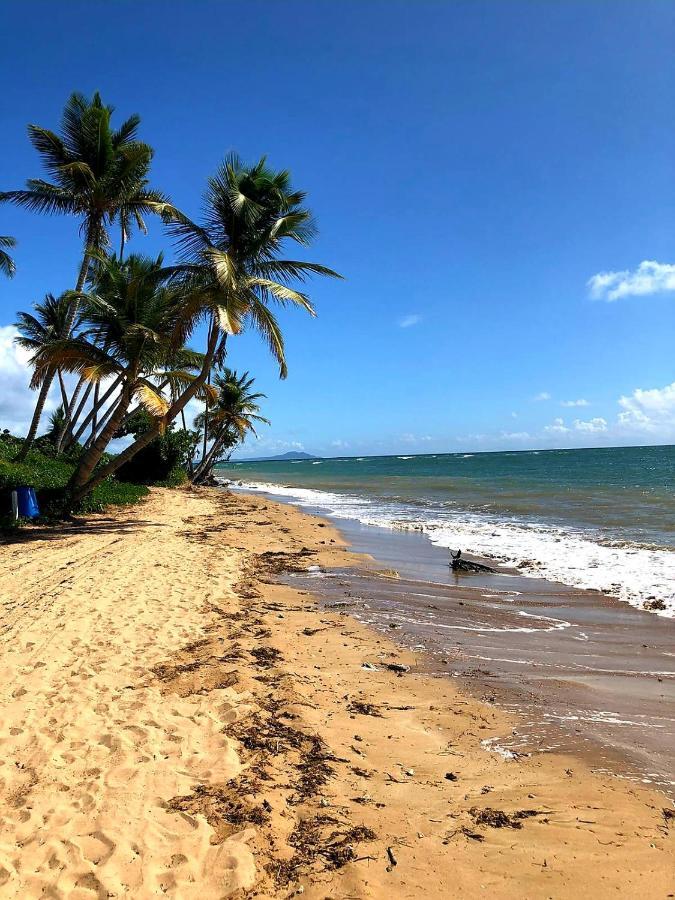 Mariposa Beach House Humacao Eksteriør bilde